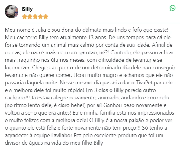 Depoimento da Julia sobre o cachorro Billy, de 13 anos, que voltou a andar e comer após usar Tiva Pet