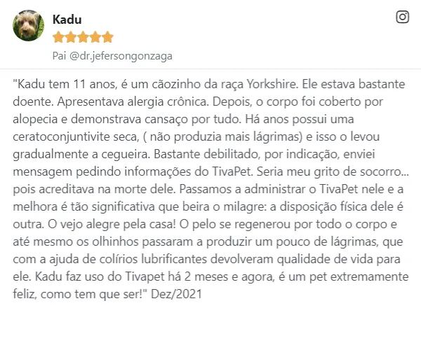 Depoimento sobre Kadu, Yorkshire de 11 anos, com melhora na pelagem e nos olhos com Tiva Pet