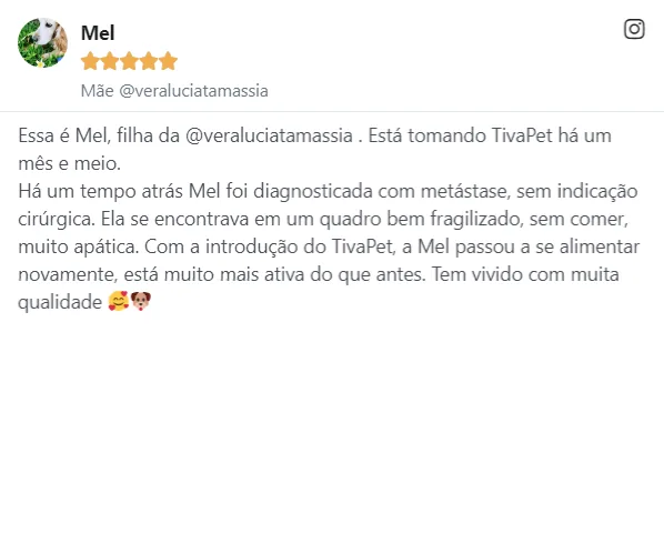 Depoimento sobre Mel, diagnosticada com metástase, mais ativa e disposta com Tiva Pet