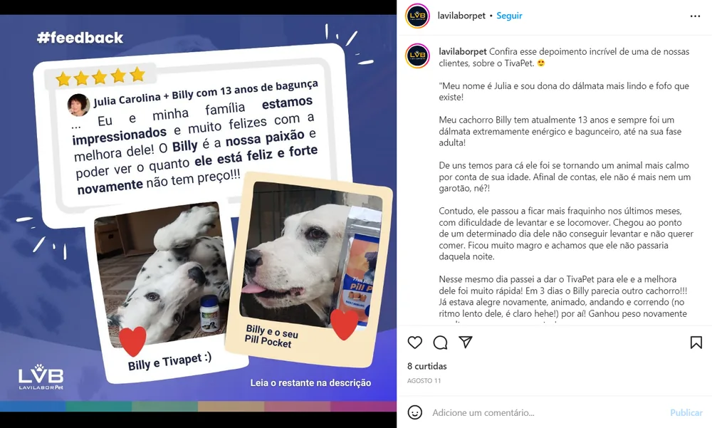 Feedback de cliente sobre o cachorro Billy publicado no Instagram