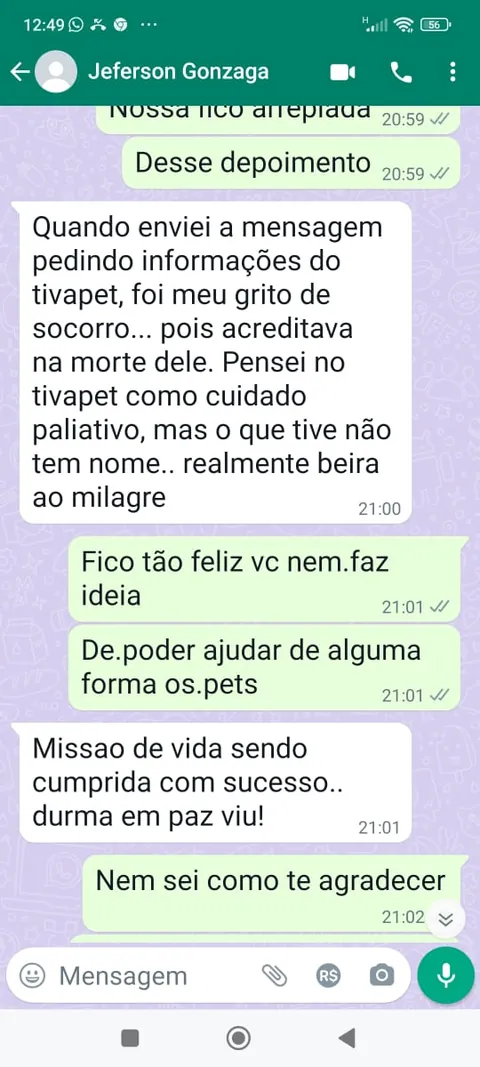 Conversa de WhatsApp com tutor agradecendo os resultados do Tiva Pet
