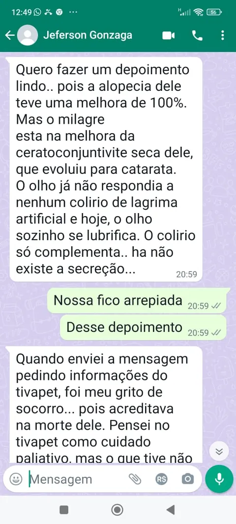 Conversa de WhatsApp com tutor relatando melhora da alopecia do cachorro